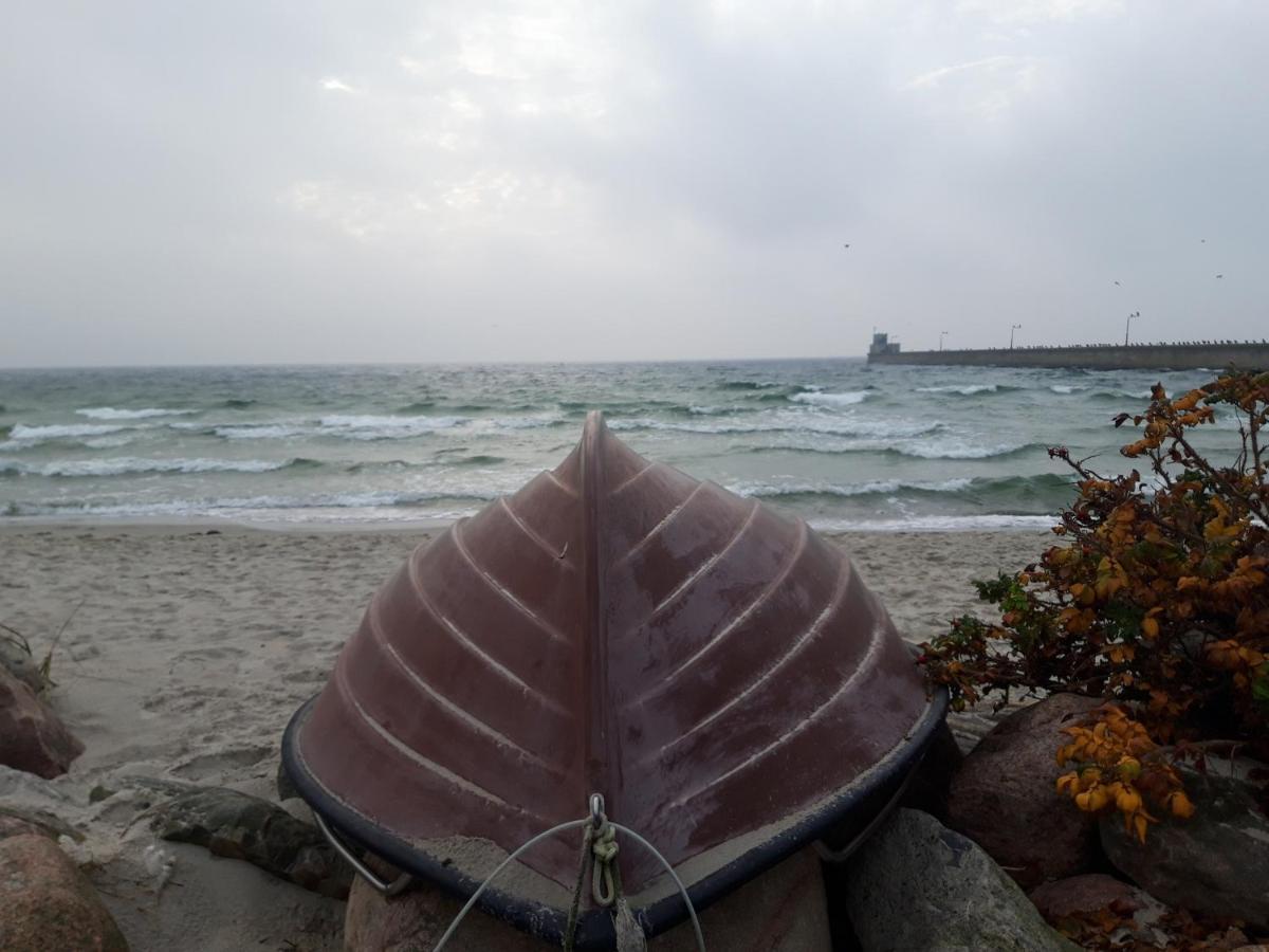 Domek W Parku Daire Hel Dış mekan fotoğraf